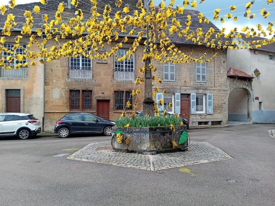 Appartement 2 Pieces Le Louveteau Arbois Zewnętrze zdjęcie